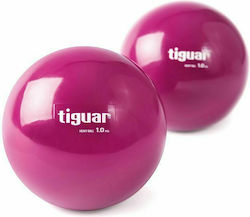Tiguar Heavy Ball 2x Balls Toning 11cm , 1kg in Purple Color