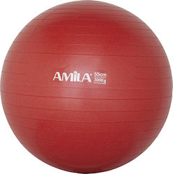 Amila Μπάλα Pilates 55cm, 1.2kg σε Κόκκινο Χρώμα