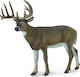 Collecta Miniature Toy Deer with White Tail 9.2cm