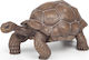 Papo Țestoasă Galápagos Pentru 3+ Ani 5.3 Cm