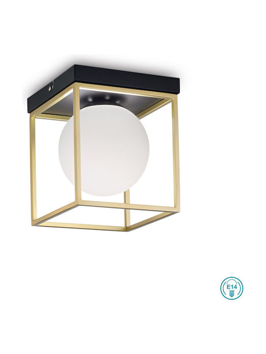 Ideal Lux Lingotto Modern Metall Deckenleuchte mit Fassung E14 in Gold Farbe 18.5Stück