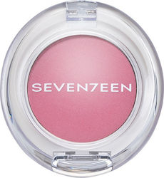 Seventeen Silky Satin Σκιά Ματιών σε Στερεή Μορ...