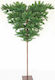 Erifili Christmas Umbrella Green Tree with Metallic Base and Built in Branches H210cm