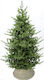 New Mountain Christmas Green Tree with Flowerpot Base H240cm