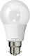 Spot Light LED Bulb 10W for Socket B22 and Shape A60 Cool White 800lm