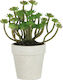 Artekko Artificial Plant in Small Pot Succulent Plant Green 17.7cm 1pcs