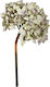 Artekko Artificial Decorative Branch Hydrangea Gray 35.5cm 1pcs