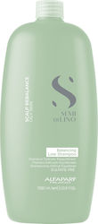 Alfaparf Milano Semi Di Lino Balancing Low Shampoo 1000ml