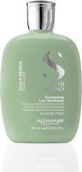 Alfaparf Milano Professional Semi Di Lino Shamp...