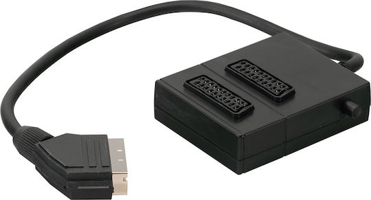 Αξεσουάρ Εικόνας 01.079.0042