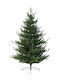 Natural Christmas Green Tree with Metallic Base and Built in Branches H240cm