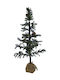 Christmas Tree 140cm in Pot