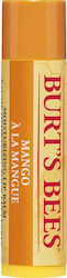 Burt's Bees Манго Балсам За Устни 4.25гр