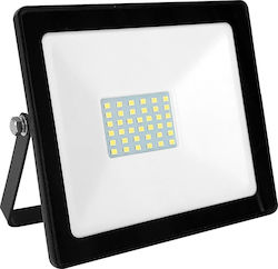 Aca Waterproof LED Floodlight 30W