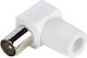 Vivanco Stecker Koaxial männlich Weiß (48007)