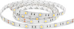 Lucas LED Strip Power Supply 12V with Natural White Light Length 5m and 60 LEDs per Meter SMD5050