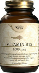 Sky Premium Life Vitamin B12 1000mcg 30 Κάψουλες