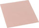 Thermal Grizzly Minus Pad 8 100 x 100 x 1.5mm Μπεζ