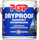 PGP Dryproof Masonry Waterproofer Επαλειφόμενο Στεγανωτικό 3lt Λευκό