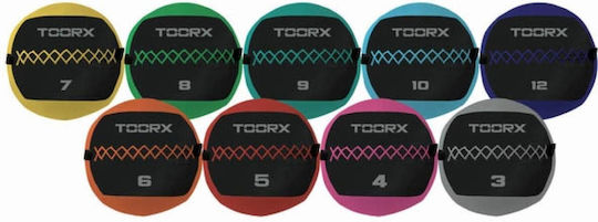 Toorx Ball Wall 35cm , 10kg in Blue Color