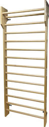 AMILA Wall Bars for User Up to 120kg