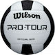 Wilson Volleyball Ball Indoor No.5