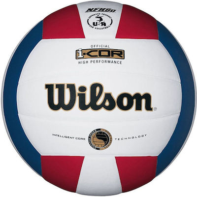 Wilson Volleyball Ball Indoor No.5