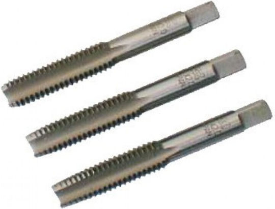 SKC SKC2225 Колан 22x2.5мм 3бр