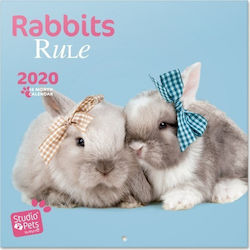 Logigraf Rabbits 30x30 Lunar Jurnal de perete 2020