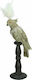 Zaros Διακοσμητικό Πουλί από Ξύλο 17.5x13x53cm