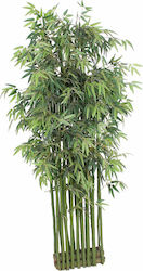 Supergreens Τεχνητό Δέντρο Εξωτερικού Χώρου Μπαμπού 200cm
