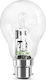 Fos me Halogen Lamp B22 70W