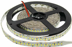 Optonica Bandă LED Alimentare 12V cu Lumină Alb Rece Lungime 5m și 204 LED-uri pe Metru SMD2835