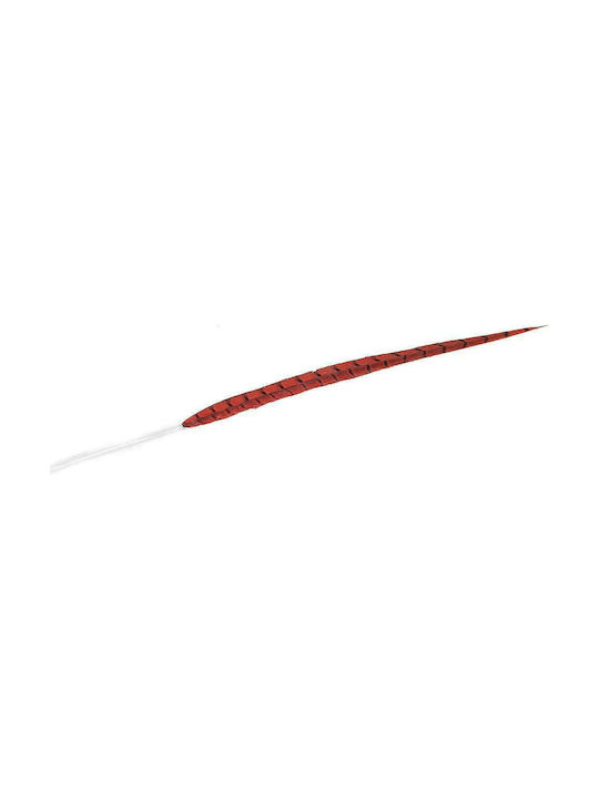 Espiel Decorative Feather Red 55cm 1pcs