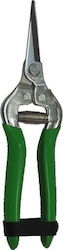 Prognik Ίσιο Inox 190mm Ψαλίδι Τρύγου 03.3111