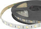 Cubalux LED Streifen Versorgung 24V RGBW Länge 5m und 60 LED pro Meter SMD5050