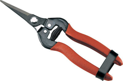 Ausonia Pruning Shears Grape