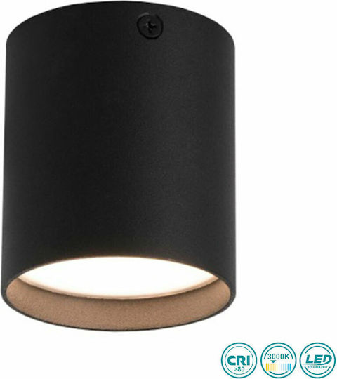 Faro Barcelona Haru Single Spot with Socket GU10 in Black Color Faro Barcelona Haru Single Spot with Socket GU10 in Black Color