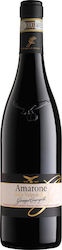 Giuseppe Campagnola Amarone Della Valpolicella Classico Red Dry 750ml