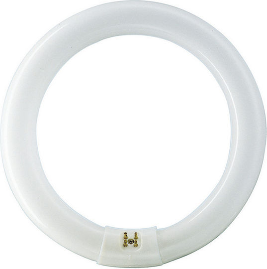 Plight Halogen Λάμπα Φθορίου με Σχήμα T9 32W