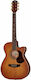 Maton Semi-Akustik Gitarre EBG808C Nashville Ausschnitt Bersten