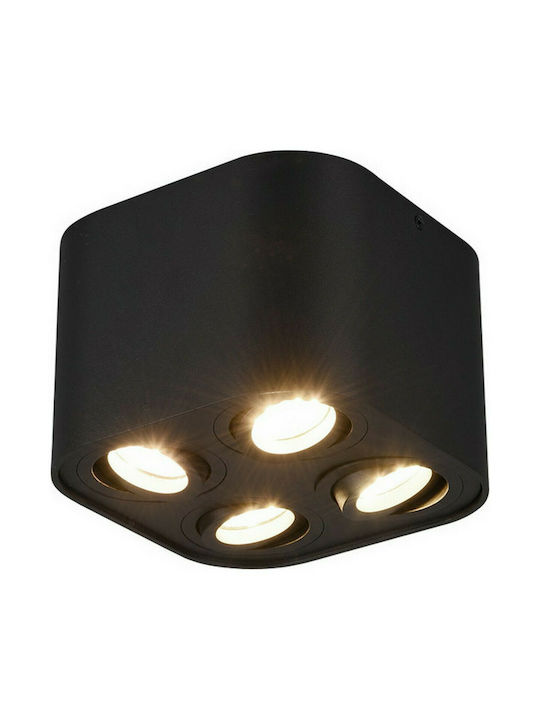 Trio Lighting Cookie Spot mit 4 Lichtern und mit Fassung GU10 in Schwarz Farbe