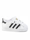 Superstar SUPERSTAR CF I Kinder Sneakers mit Klettverschluss Cloud White / Core Black