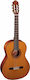 Almansa 424 Ziricote Kids Classical Guitar 4/4