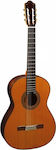 Almansa 457 R Classical Traditional Classical Guitar 4/4 Natural