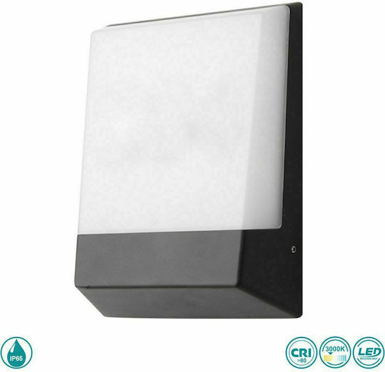Sun Light Επιτοίχια Εξωτερική Πλαφονιέρα LED IP65 12.5W 16.1x21.1εκ.