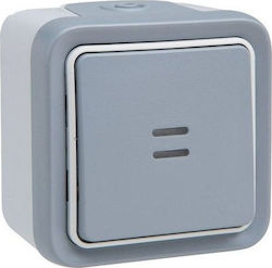 Legrand Plexo 0697 External Electrical Lighting Wall Switch no Frame Basic Aller Retour Illuminated Waterproof Gray