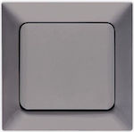 Eurolamp Recessed Electrical Lighting Wall Switch with Frame Basic Smoked