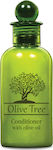 Amari Conditioner Ξενοδοχείου Olive Tree 40ml σε Συσκευασία 250τμχ