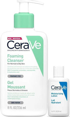 cerave cleanser and moisturizer for oily skin
